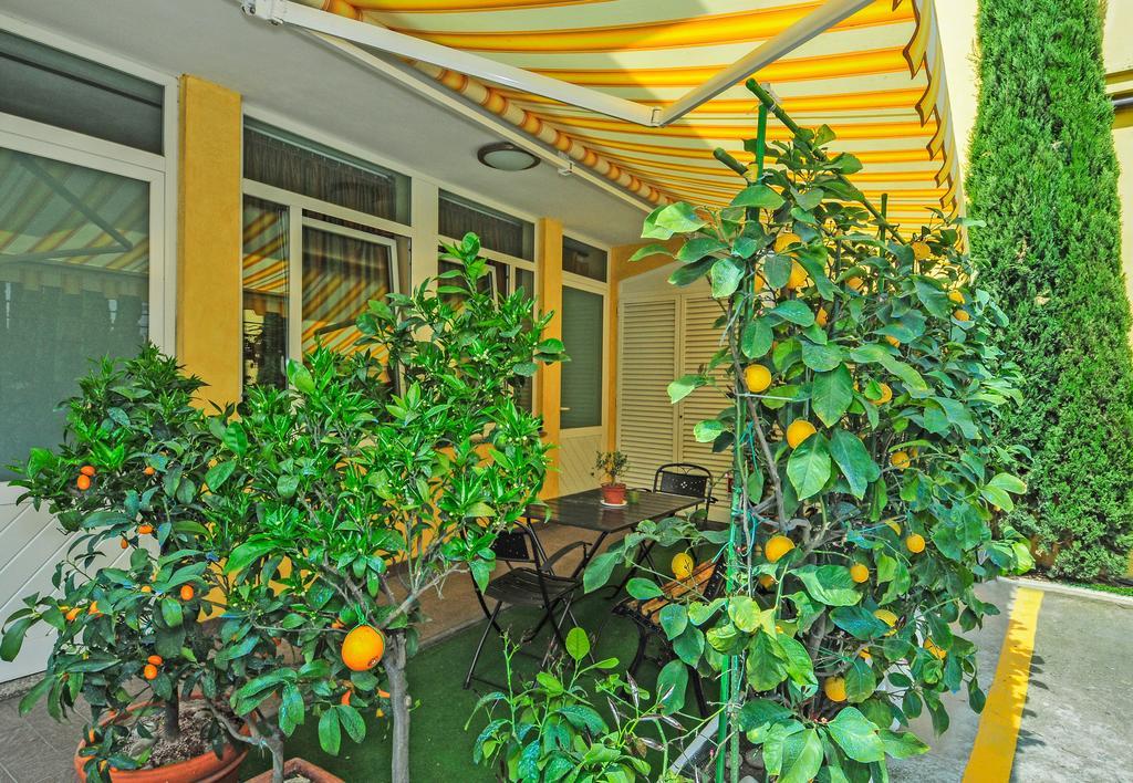 艾翠柏住宿加早餐酒店 卢卡 外观 照片